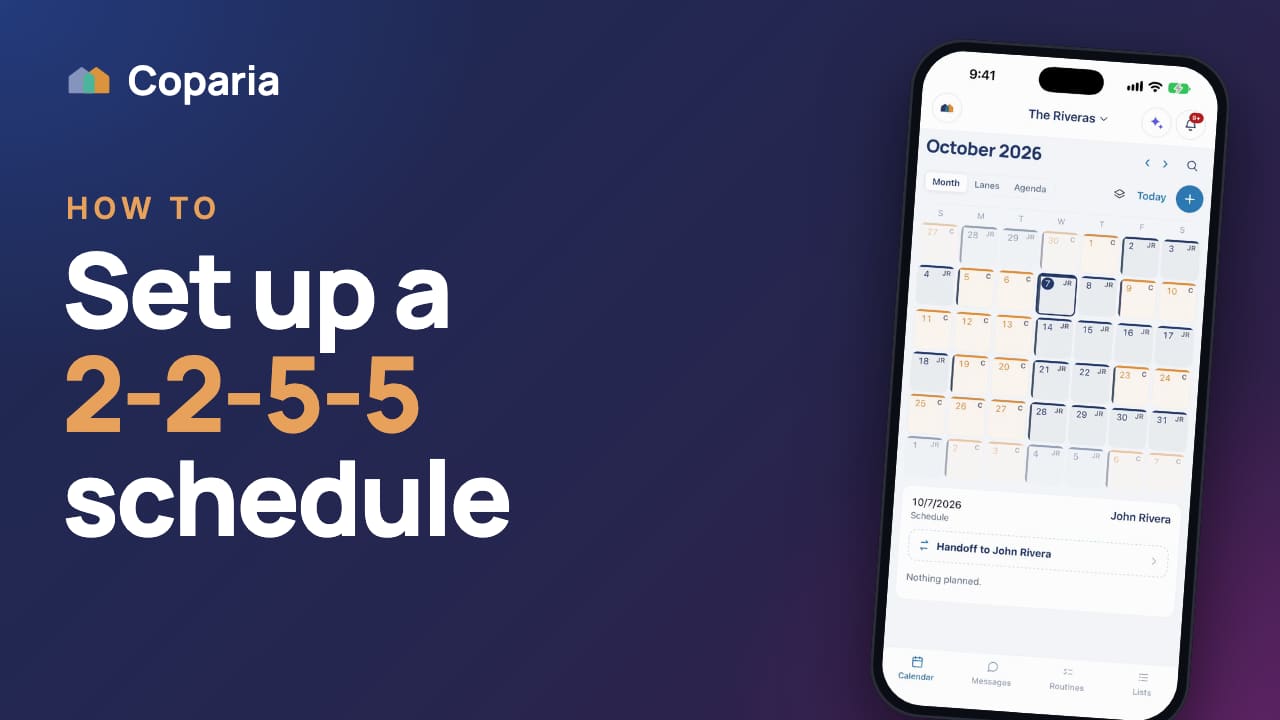 Video thumbnail: How to set up a 2-2-5-5 parenting schedule